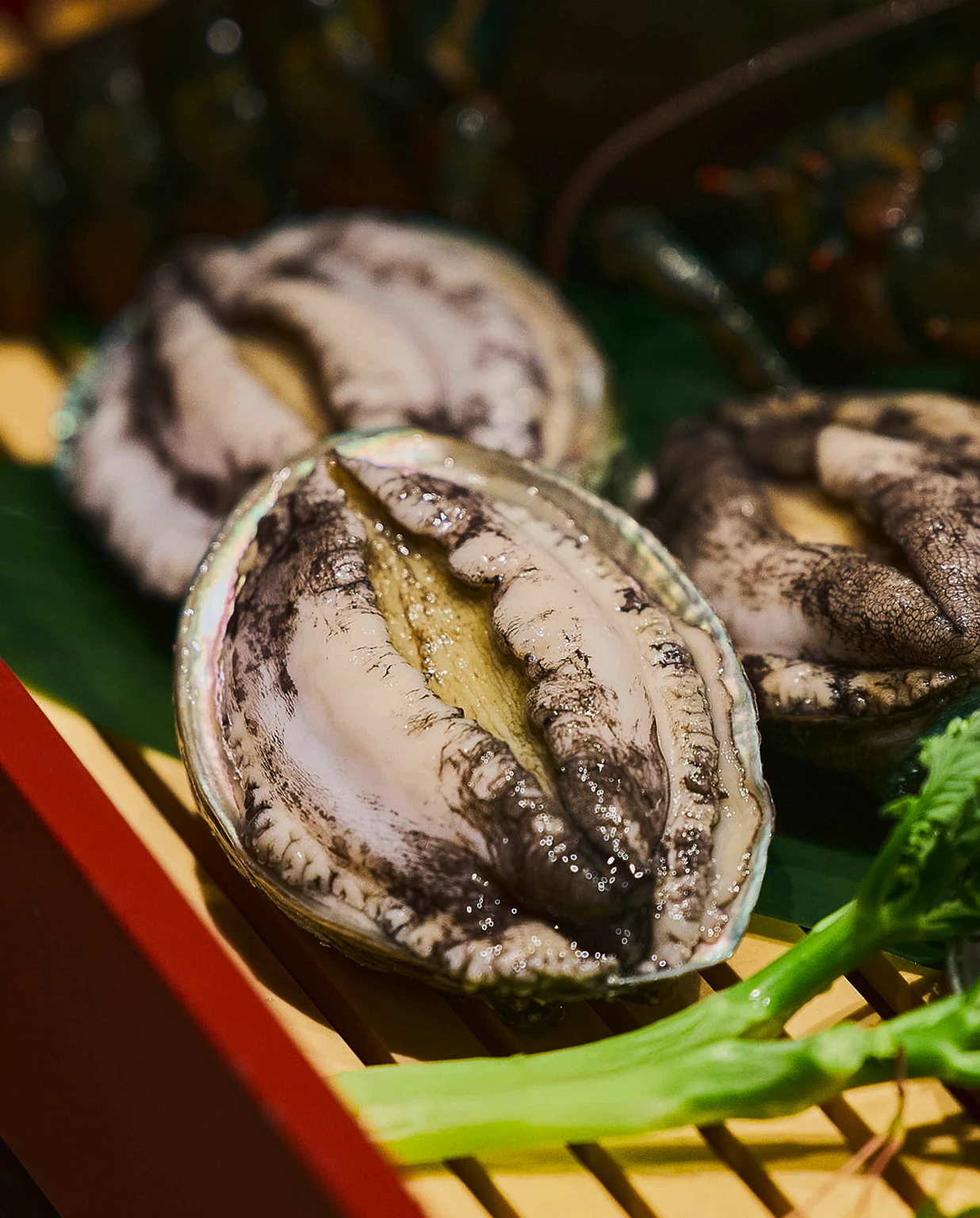 新鮮な鮑（あわび）が並ぶ調理前の食材